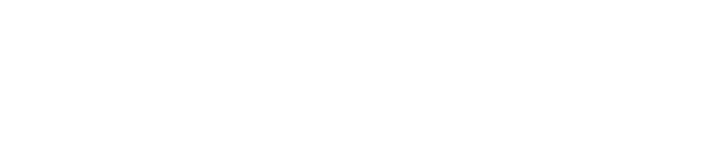 Stakon